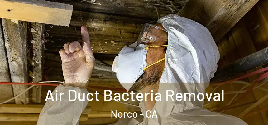  Air Duct Bacteria Removal Norco - CA