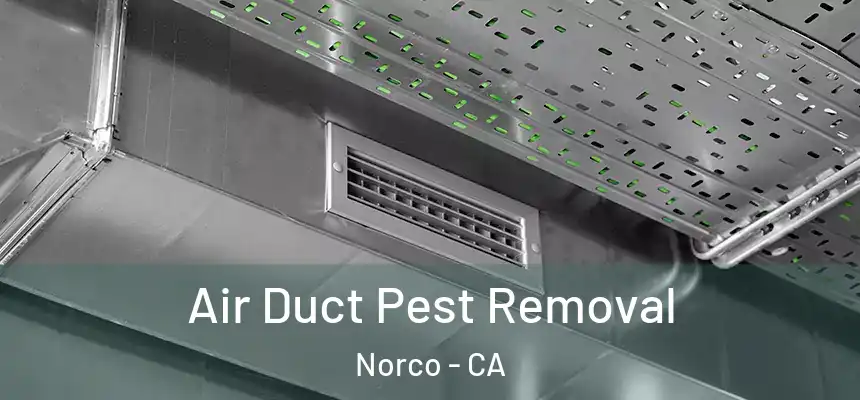 Air Duct Pest Removal Norco - CA