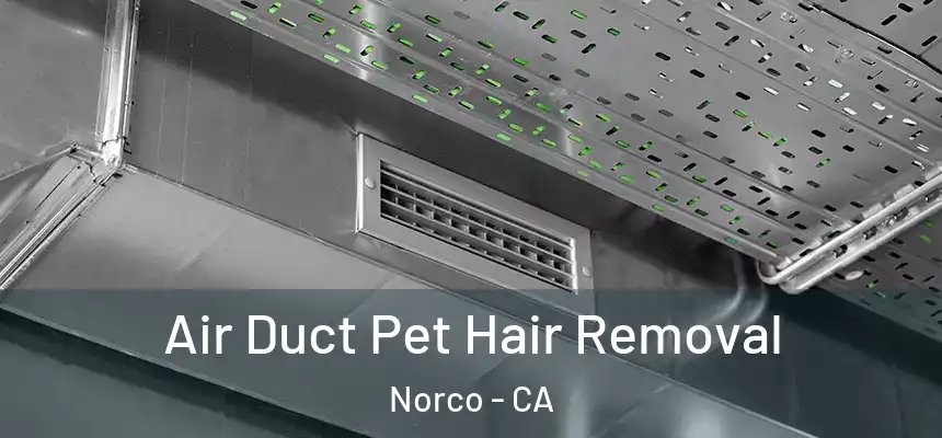  Air Duct Pet Hair Removal Norco - CA