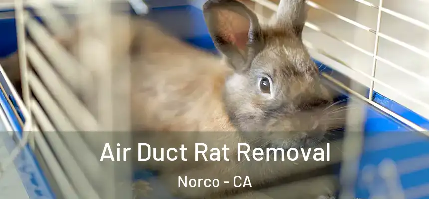  Air Duct Rat Removal Norco - CA