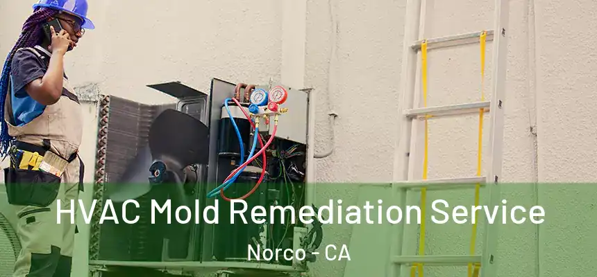  HVAC Mold Remediation Service Norco - CA
