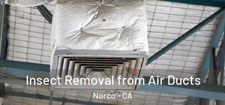  Insect Removal from Air Ducts Norco - CA