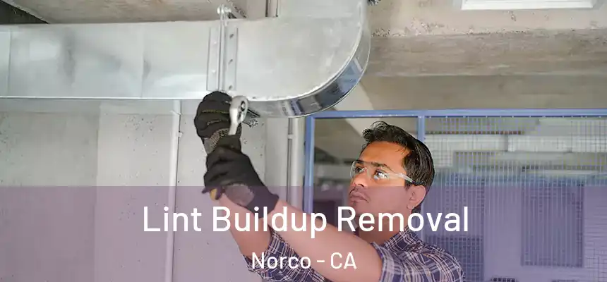  Lint Buildup Removal Norco - CA