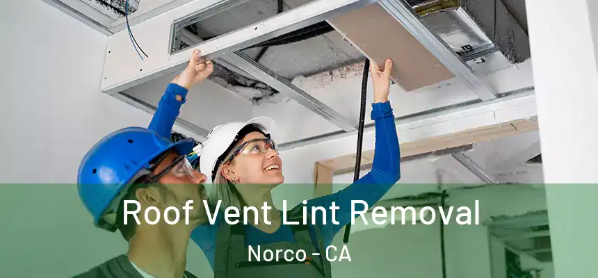 Roof Vent Lint Removal Norco - CA