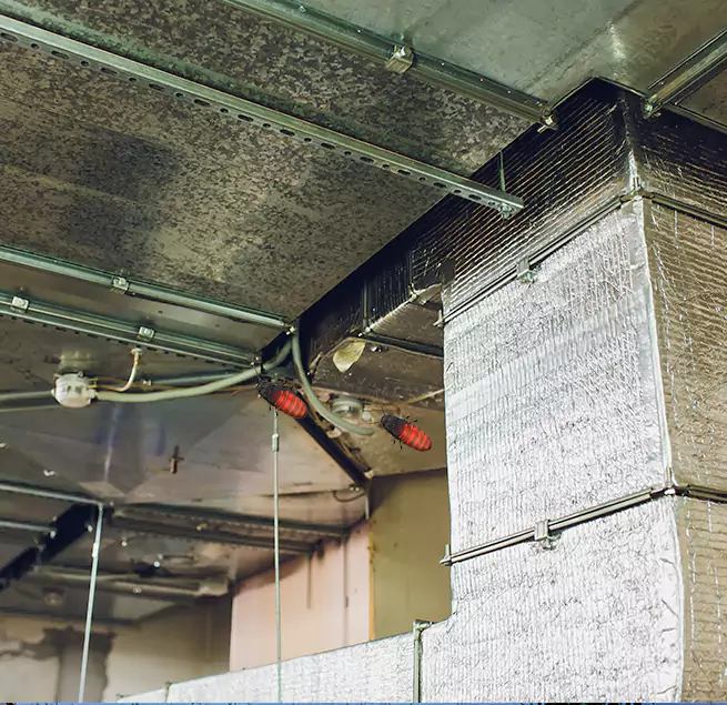 Why Homeowners & Businesses Trust Us in Norco, CA?