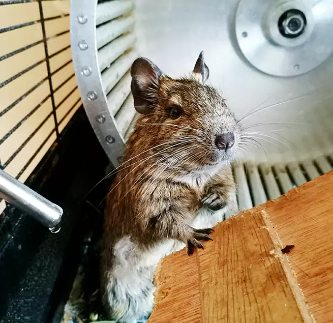 Why Homeowners & Businesses Trust Us Norco, CA